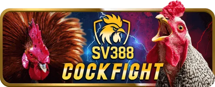 Ưu đãi hoàn trả hàng tuần tại sc88a1